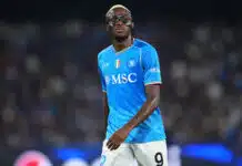 Victor Osimhen stats - 2023/24 season